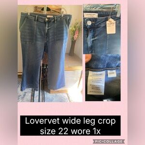 Lovervet Wide Leg Crop Jeans - size 22
26” inseam 13” rise